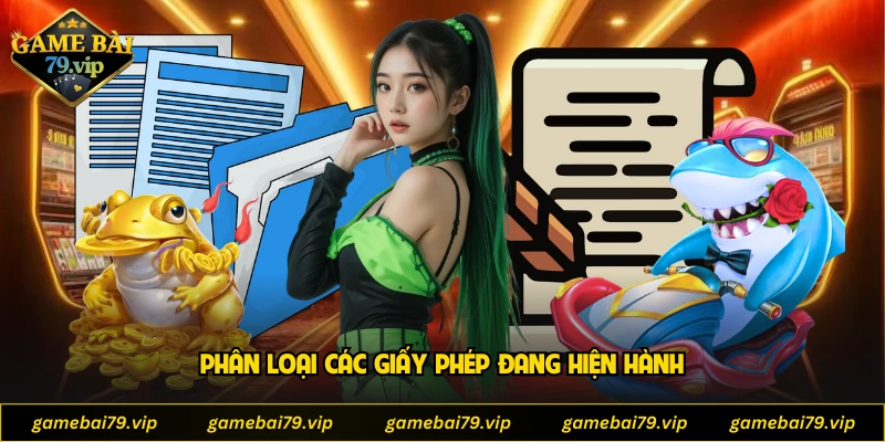 Phân loại các giấy phép đang hiện hành
