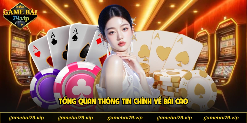Tổng quan thông tin chính về bài cào