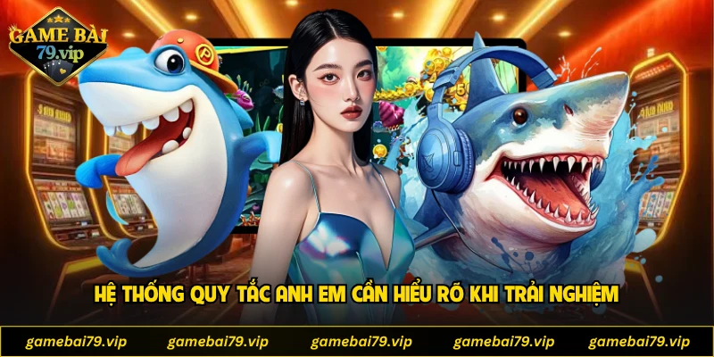 Hệ thống quy tắc anh em cần hiểu rõ khi trải nghiệm